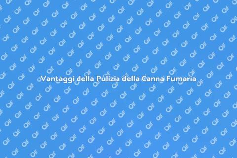Pulizia Canna Fumaria: Vantaggi Essenziali