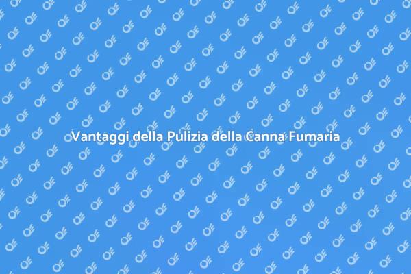 Perché Pulire la Canna Fumaria è Cruciale