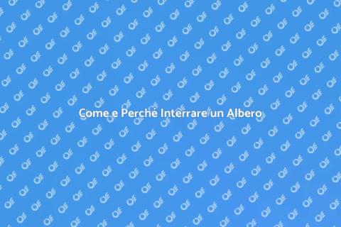 Interrare un Albero: Guida Pratica