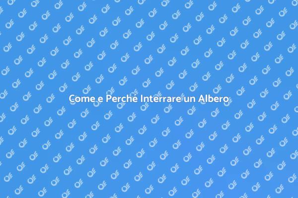 Guida all'Interramento di un Albero