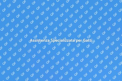 Cat Sitter per Gatti con Necessità Speciali