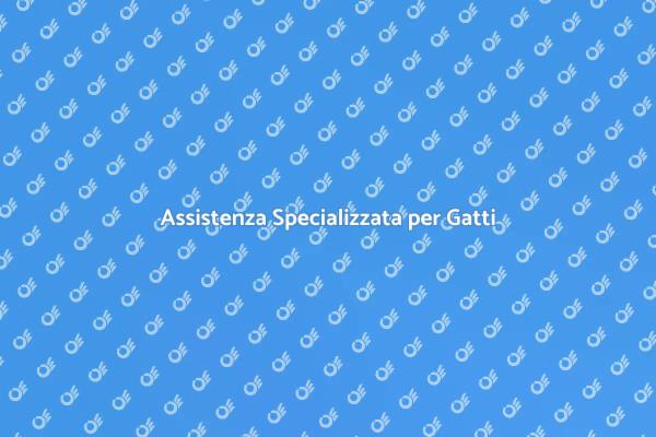 Scegli il Giusto Cat Sitter per Gatti