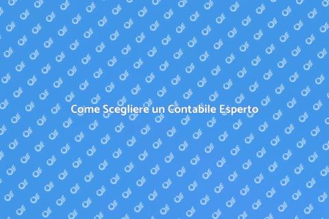 Professionista della Contabilità