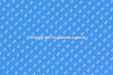 Impianto di irrigazione a goccia