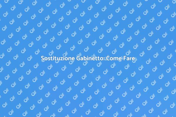 Installazione e Sostituzione Gabinetto