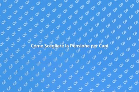 Pensione per Cani: La Scelta Perfetta