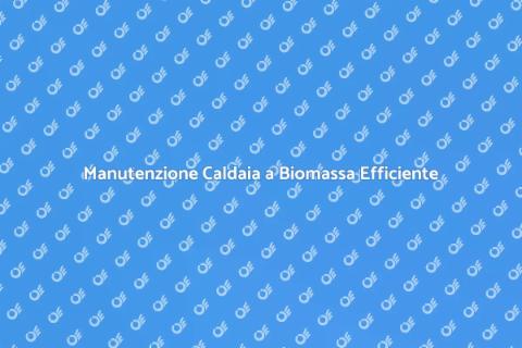 Manutenzione Caldaia Biomassa Sostenibile
