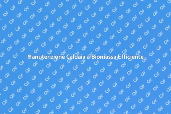 Sostenibilità e Manutenzione Caldaie Biomassa