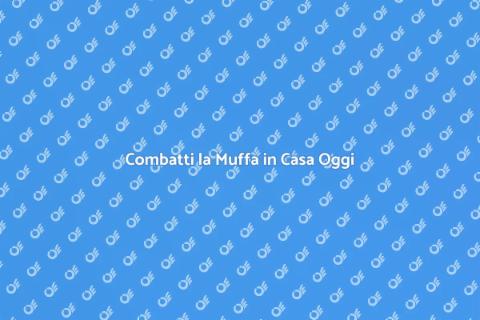 Bonifica della Muffa: Rinnova la Casa