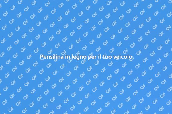 Realizza una pensilina in legno per auto