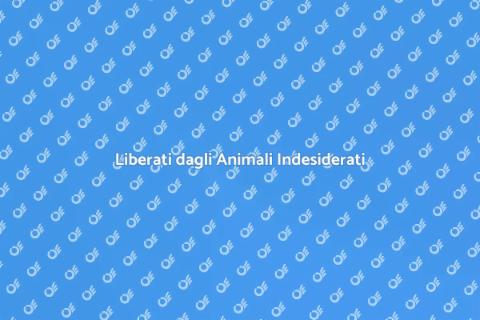 Rimuovere Animali Indesiderati Facile