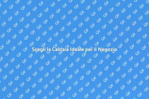 Caldaia Murale per il Tuo Negozio