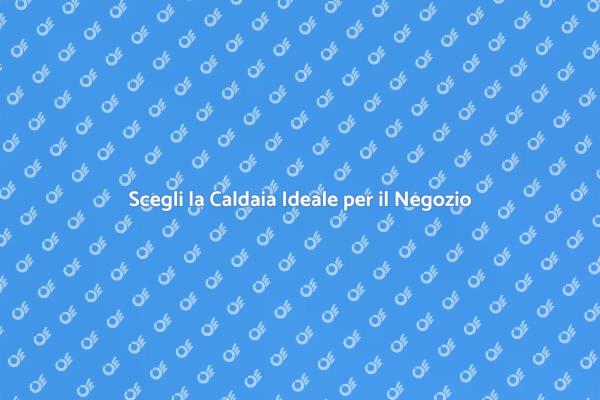 Ottimizza il Tuo Negozio con una Caldaia