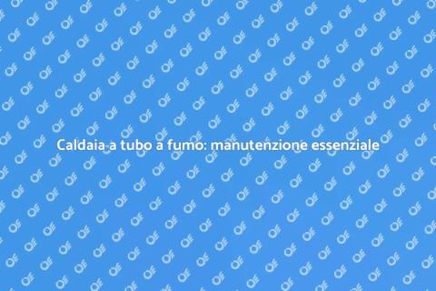 Manutenzione annuale caldaia fumi
