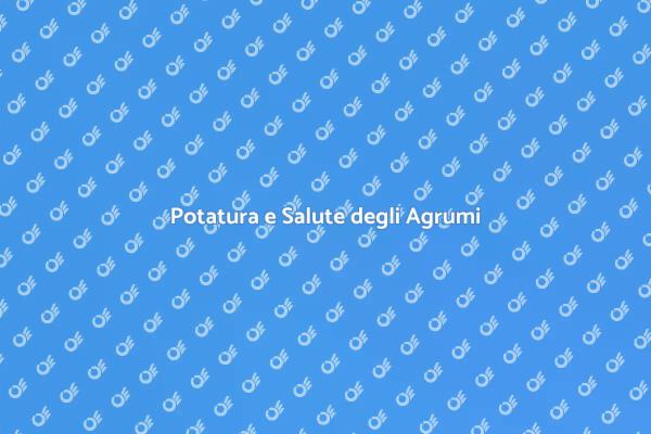 Potatura: Chiave per Agrumi Sani