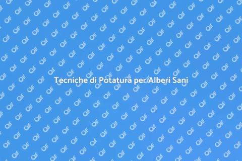 Potatura Alberi: Salute e Bellezza