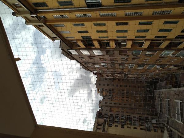 ECOLOGICA SETINA DI CALABRESE FRANCO - Foto 4