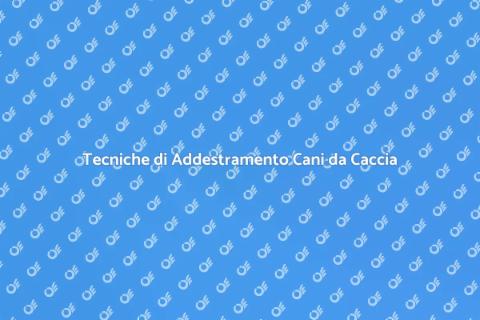 Addestramento Cani da Caccia Efficace