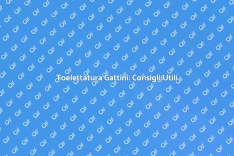 Toelettatura Gattini: Guida Completa