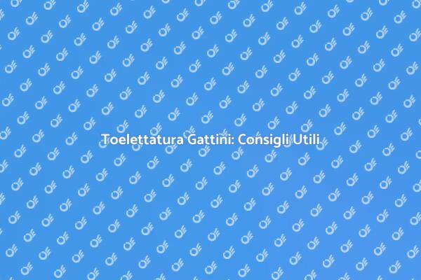 Toelettatura per Gattini: Tutto Quello che Devi Sapere