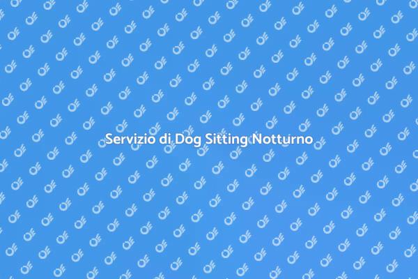 Dog Sitting Notturno: Tranquillità Garantita