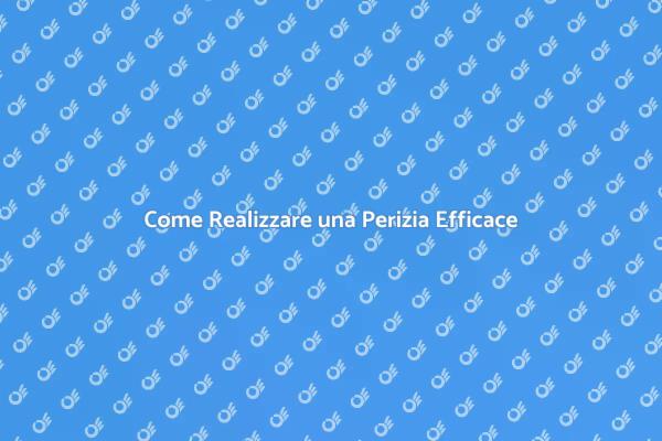 Importanza della Perizia nei Progetti