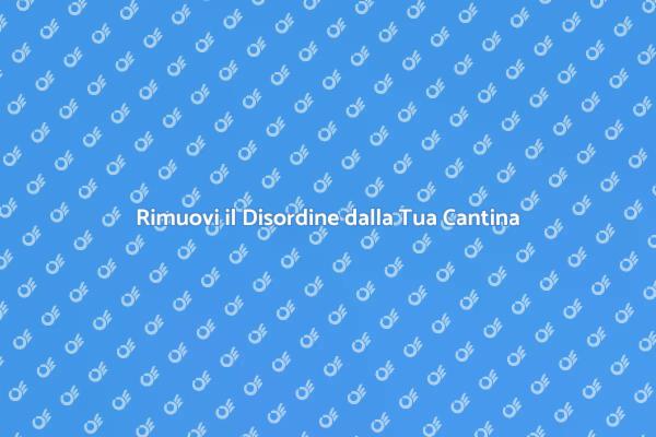 Riorganizza la Tua Cantina Oggi