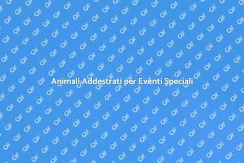Allenamento Animali per Cerimonie