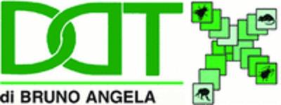 D.D.T. Derattizzazione Disinfestazione  - Foto 1