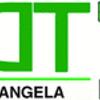 D.D.T. Derattizzazione Disinfestazione 