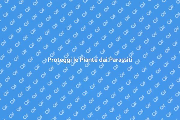 Come Disinfestare le Piante