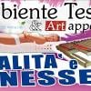 Ambiente Tessile e Artappeti 