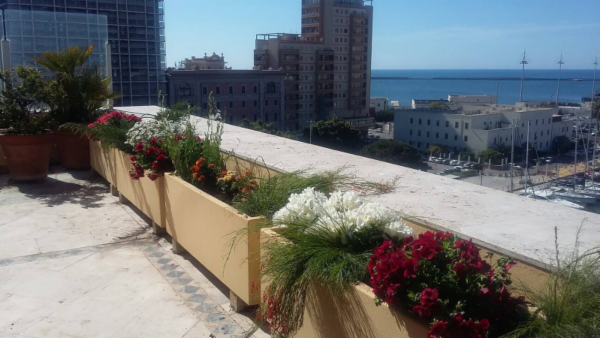 Murranca Valentina  - Foto 1