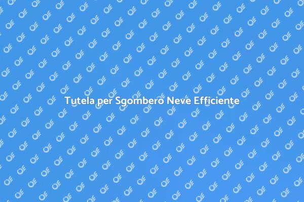 Sicurezza e Assicurazione Sgombero