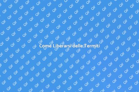 Trattamento Efficace contro le Termiti