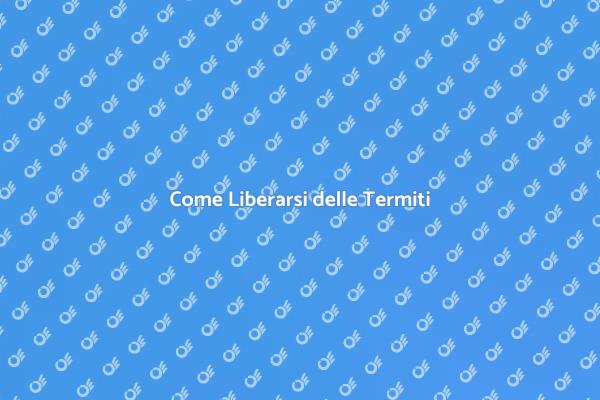 Liberati delle Termiti Ora!