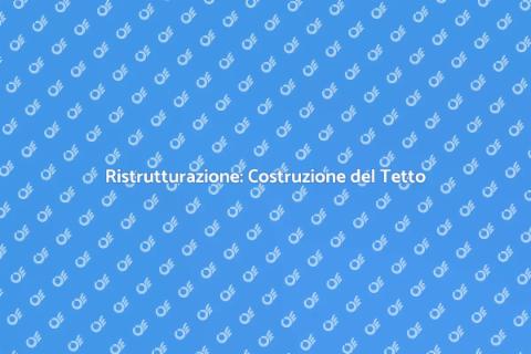 Costruzione e Sostituzione del Tetto