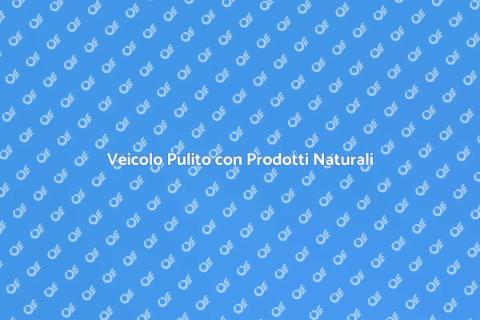Pulizia Veicolo con Prodotti Naturali