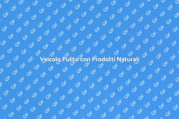 Pulizia Auto: Metodi Naturali Efficaci