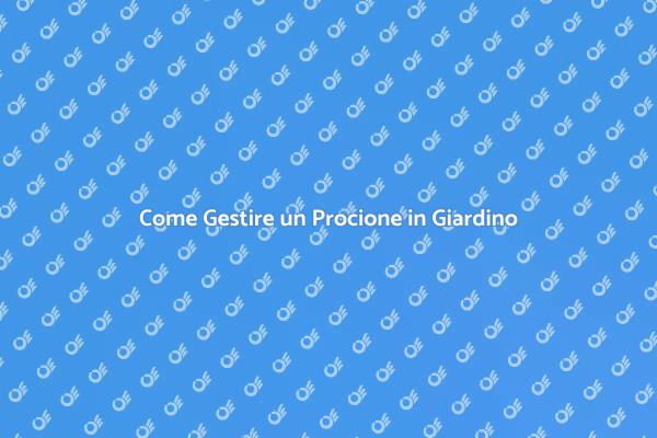 Rimozione Sicura di un Procione