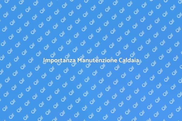 Guida alla Manutenzione della Caldaia