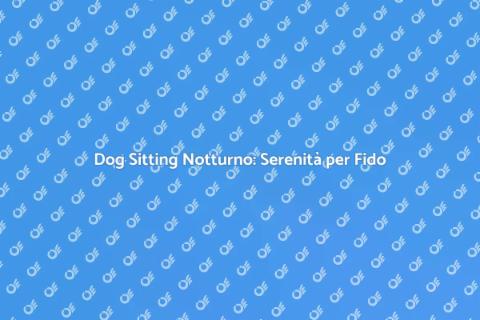 Dog Sitting Notturno: Comfort per Cani