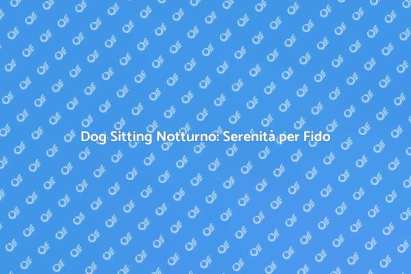 Il Dog Sitting Notturno per il Tuo Amico