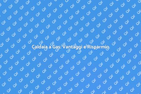 Caldaia a Gas: Comfort e Efficienza