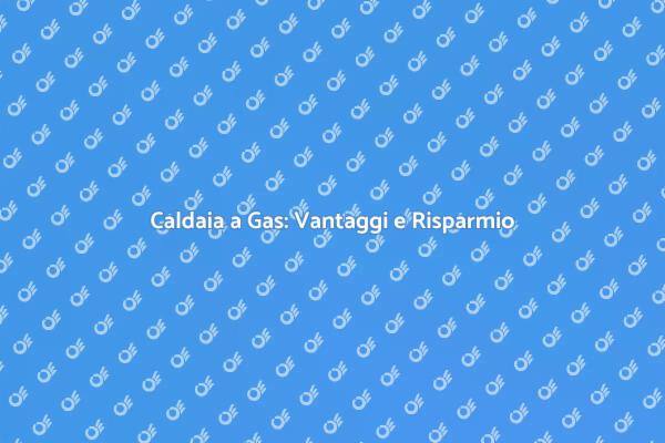 Caldaia a Gas: Il Futuro del Riscaldamento