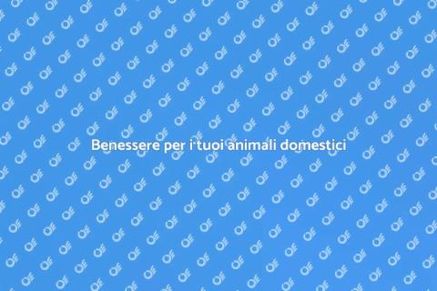 Massaggi per animali domestici piccoli