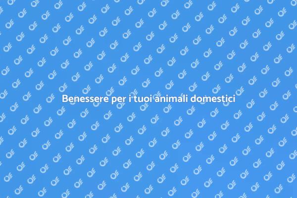 Rilassa i tuoi animali con il massaggio