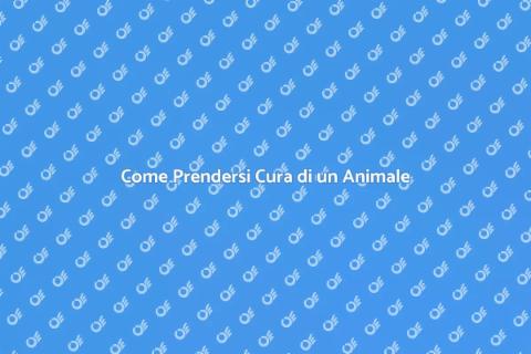 Mantenere un Animale Domestico: Guida