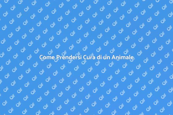 Guida alla Cura degli Animali Domestici
