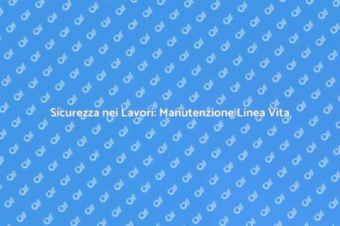 Manutenzione Linea Vita: Sicurezza Prima di Tutto
